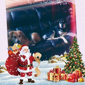 Meet your Posher, Melanie